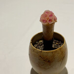 ラ・ヴァガボンド - 