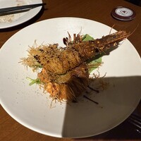 クインチチェントラーレ - 