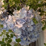 おかしやうっちー - 