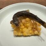 野口 - 【 稚鮎とトウモロコシのかき揚げ 】