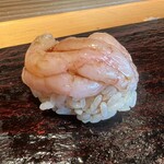 SUSHI TOKYO TEN、 - 甘エビ