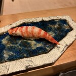 鮨　Shizuku - 美しい海老