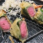 たつの申し子 - 