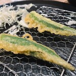 たつの申し子 - 