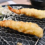 たつの申し子 - 