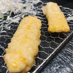 たつの申し子 - 