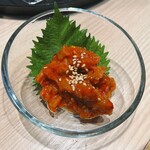 たつの申し子 - 