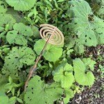 マルタ - 蚊取り線香すらおしゃれに刺しますか！