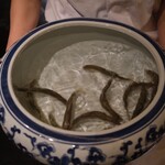 御料理 まつ山 - 