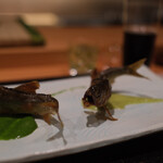 御料理 まつ山 - 