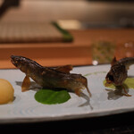 御料理 まつ山 - 