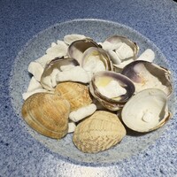 yokoyama - 