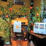 Yasai ga Oishii Restaurant LONGING HOUSE Karuizawa