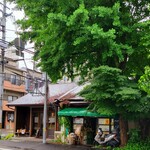 杉本商店 - 