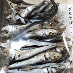 㐂伝 - 市場で買った　煮干し（平子）