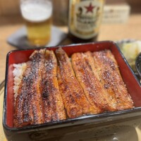 うなぎ 目白ぞろ芽 - 