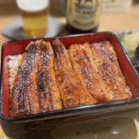 うなぎ 目白ぞろ芽 - 