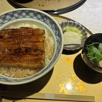 うなぎ 目白ぞろ芽 - 