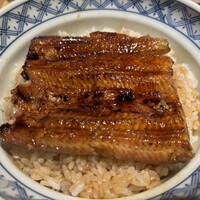 うなぎ 目白ぞろ芽 - 
