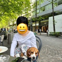 パリアッチョ 丸の内仲通り店 - 