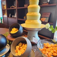 ゼックスウエスト サルヴァトーレ クオモブロス - 