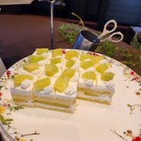 ゼックスウエスト サルヴァトーレ クオモブロス - 