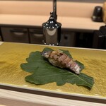 鮨のしはち - しゃこ