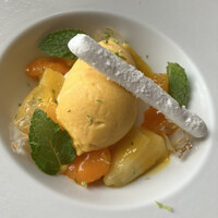 サーラ アマービレ -  サーラ アマービレ -