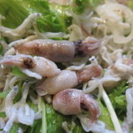 和 dining 清乃 - しらすの中にちっちゃいイカもまぎれ込んでいます。