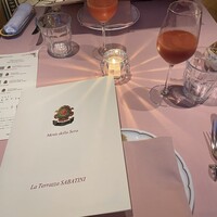 La Terrazza SABATINI - 