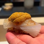 照寿司 - いか雲丹握り