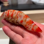 照寿司 - 車海老(相島)握り