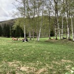 リゾナーレトマム - 敷地内の牧場