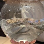 料理屋 植むら - 