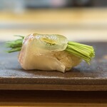 鮨まつ井 - 芽ねぎ