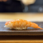 鮨まつ井 - 天使の海老