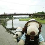 五十鈴川カフェ - カフェを出た後、五十鈴川沿いに出てみたよ。
      バックに宇治橋が見えるね。とてもいい眺めです。