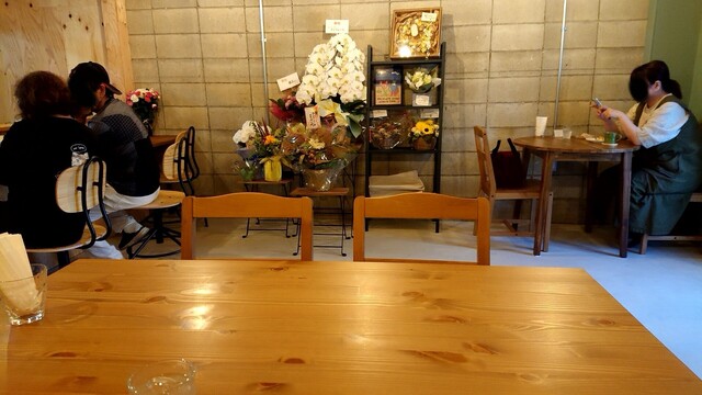 Kissa Pudding photo 5