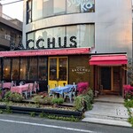 表参道 バッカス - 