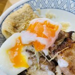 元祖 豚丼屋 TONTON - 