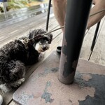 フクミカフェ パルミエ - 