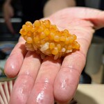 寿司福島 - 半熟イクラ