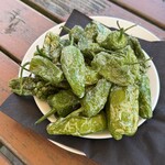 Pllek - ﾋﾟｰﾏﾝﾌﾗｲ