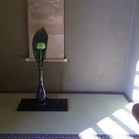 名古屋コーチン・旬菜 一鳳 金山本店 - 