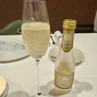 La Vallee d'Or - 