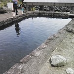 金太郎自然園 - 釣り堀