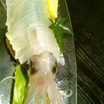 はかたや木鶏 - ヤリイカのお造り