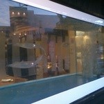 はかたや木鶏 - ヤリイカ