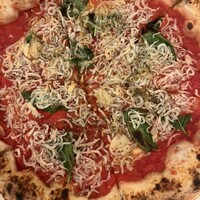ナプレ 横浜高島屋店 - 