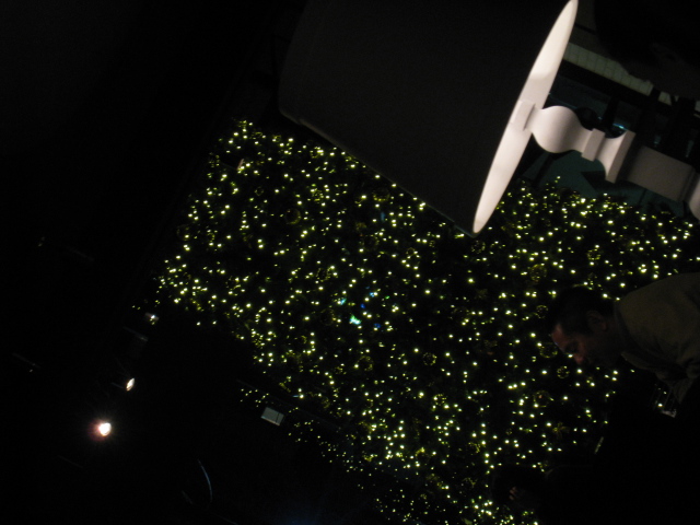 トウキョウランデブー Tokyo Rendezvous 亀戸 ダイニングバー 食べログ